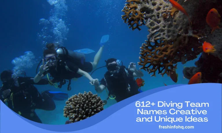 612+ Diving Team Names Creative and Unique Ideas